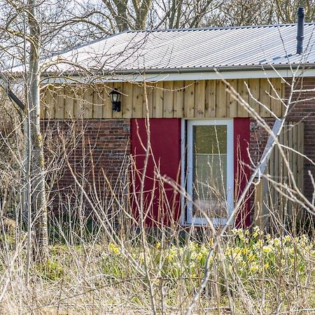Deichgraf 1 Apartment Friedrichskoog Exterior foto
