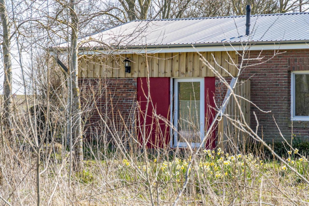 Deichgraf 1 Apartment Friedrichskoog Exterior foto