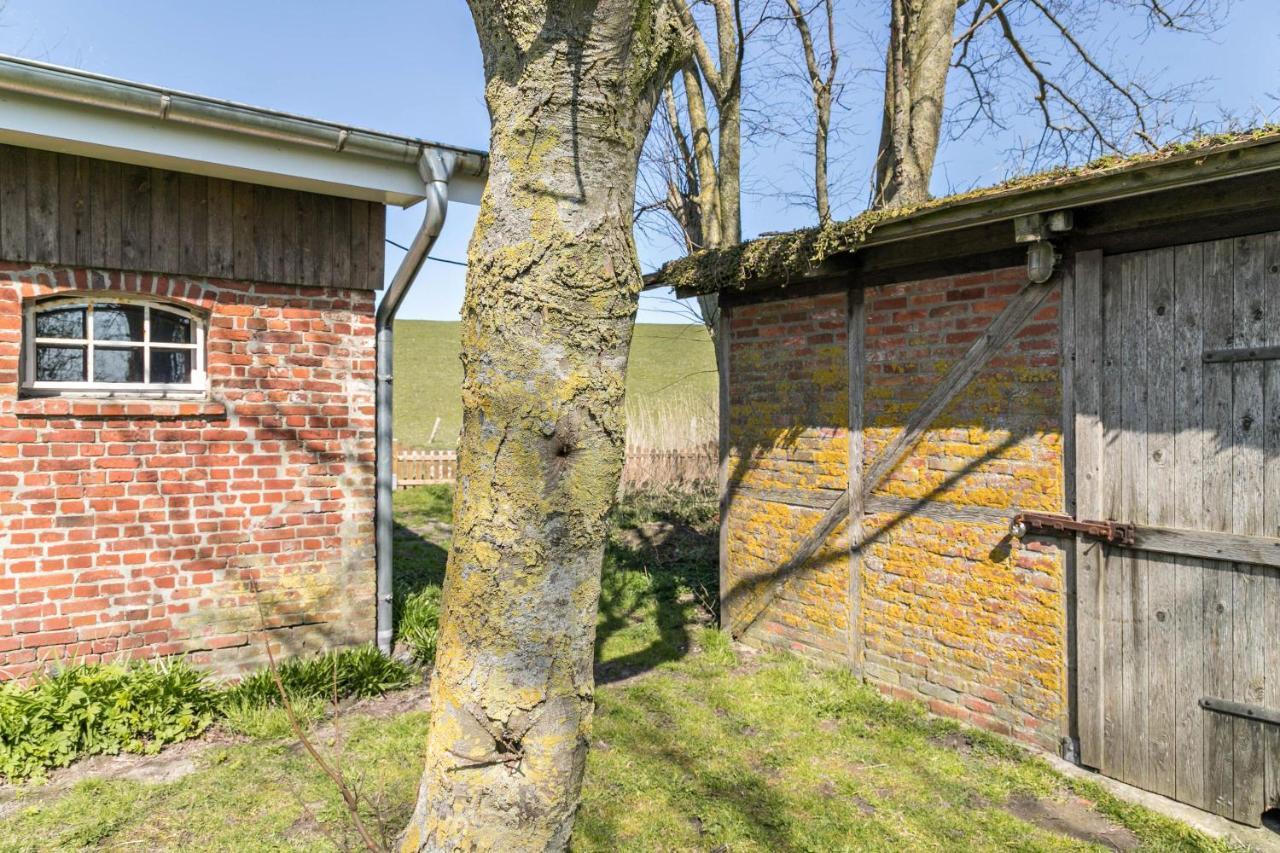 Deichgraf 1 Apartment Friedrichskoog Exterior foto